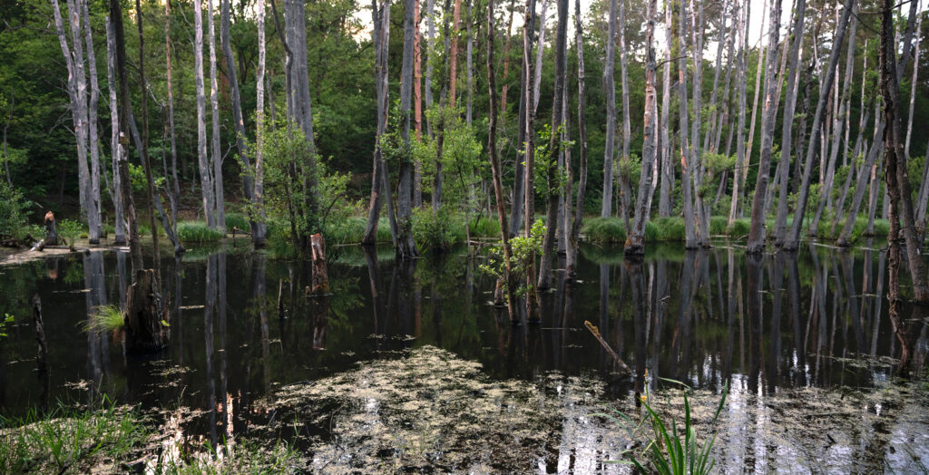 Brandeburg erleben mit dem Campermobil